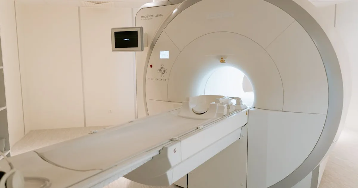 Ergo Seguro Salud Mayores: ¿La Mejor Opción?